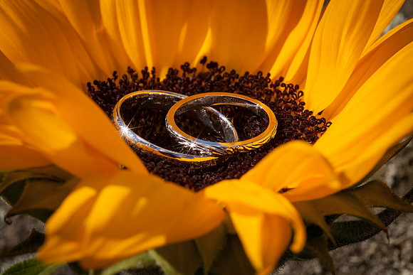 Francis Farms Wedding