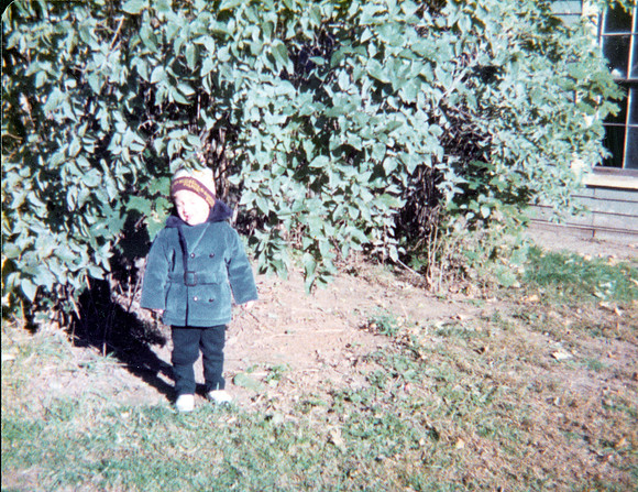 Levesque Family Photos-83