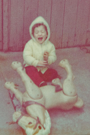 Levesque Family Photos-24