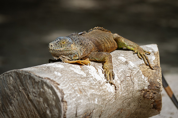 Mexico_2024-55
