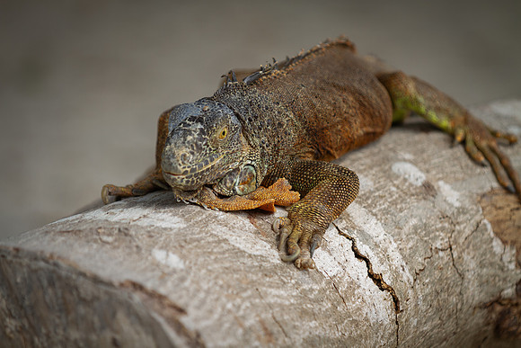 Mexico_2024-56
