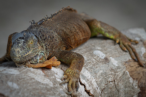 Mexico_2024-57