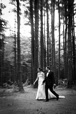 Rustic Wedding